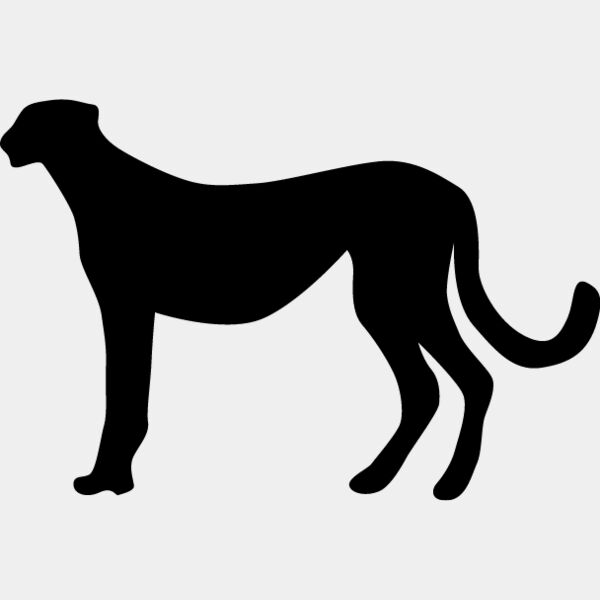 Big Cat  Tiger  Lion  Panther 26 Thumbnail