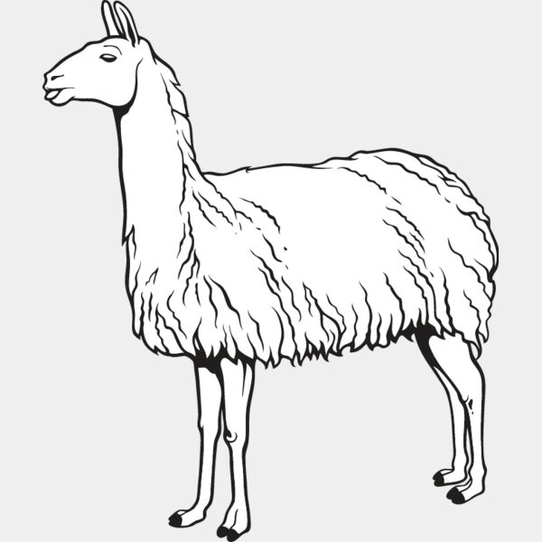 Llama Thumbnail