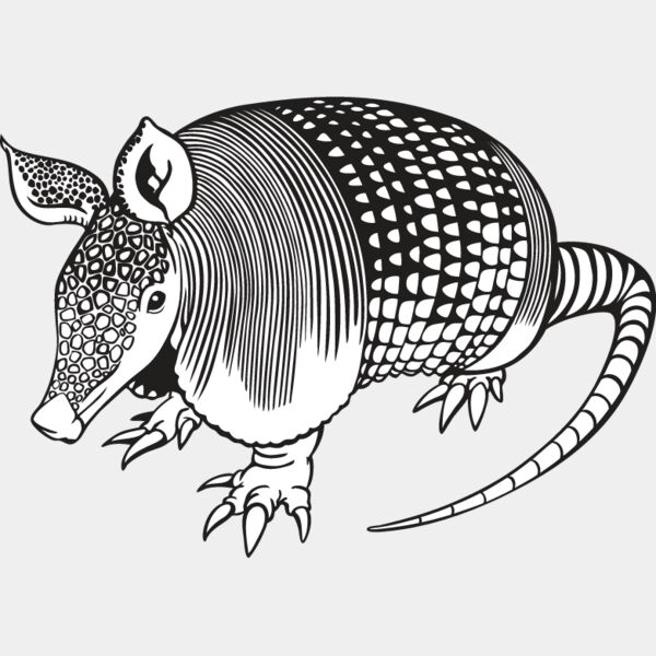 Armadillo1 Thumbnail