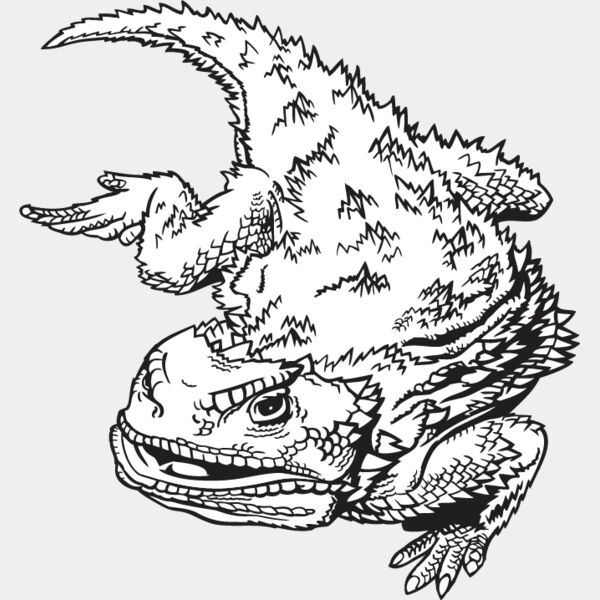 Horned Toad Thumbnail