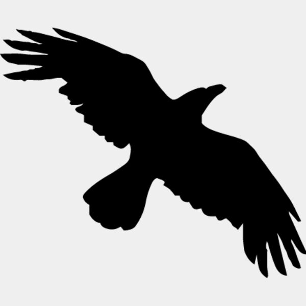 Bird Silhouette2 Thumbnail