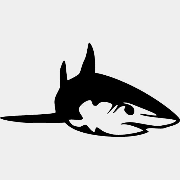 Great White Shark5 Thumbnail