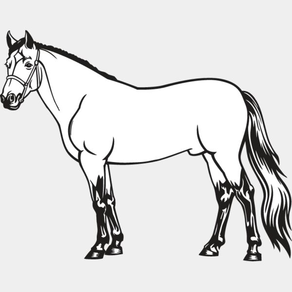 Horse4 Thumbnail