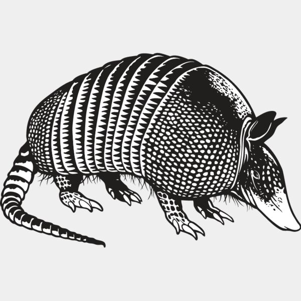 Armadillo2 Thumbnail