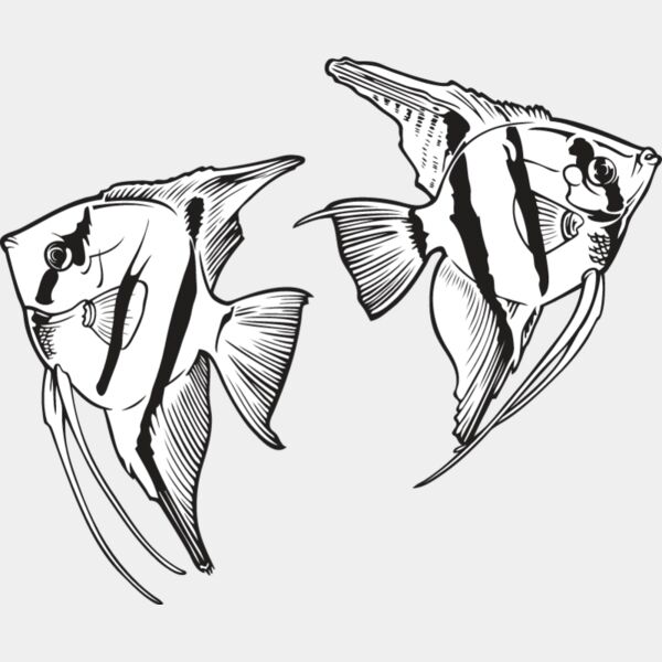 Angelfish Thumbnail