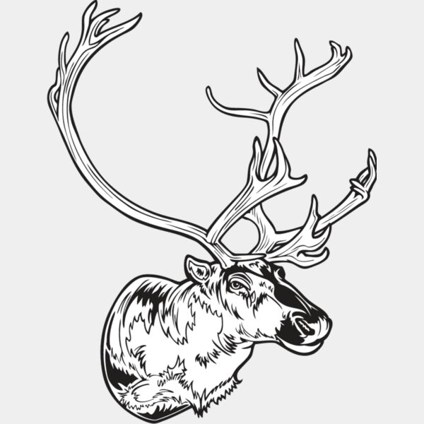 Caribou1 Thumbnail