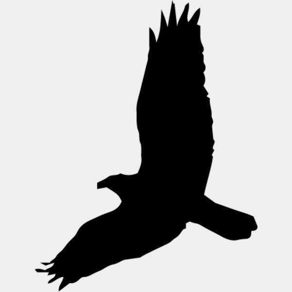 Bird Silhouette6 Thumbnail