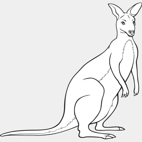 Wallaby Thumbnail