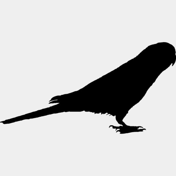 Parrot Silhouette3 Thumbnail