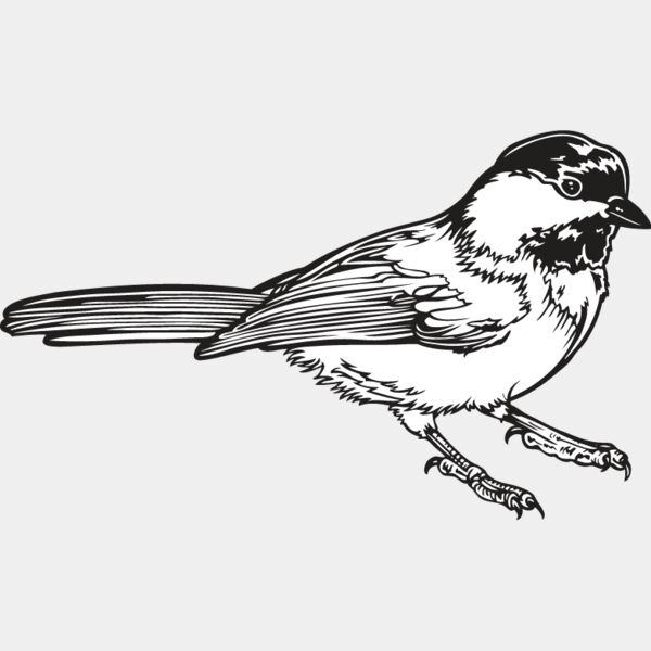 Chickadee Thumbnail
