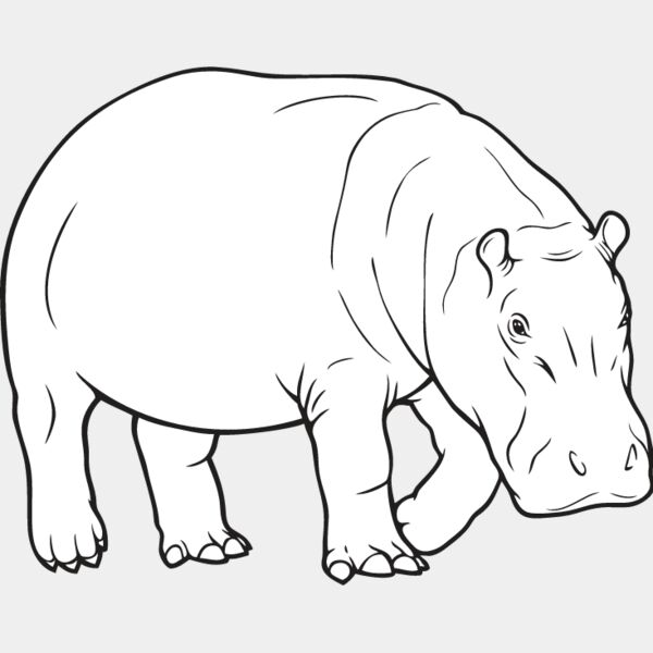 Hippopotamus1 Thumbnail