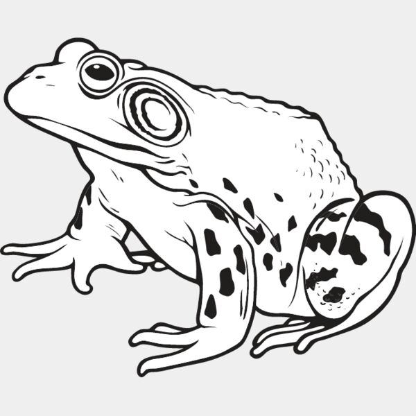Bullfrog Thumbnail
