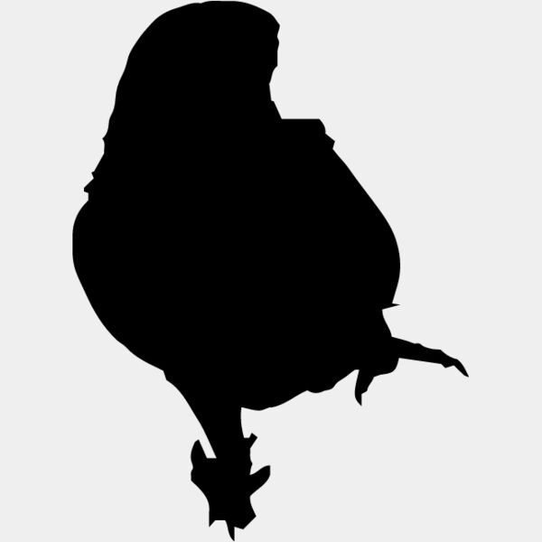 Parrot Silhouette5 Thumbnail