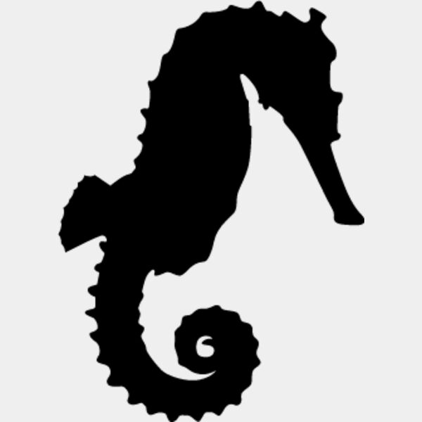 Seahorse4 Thumbnail