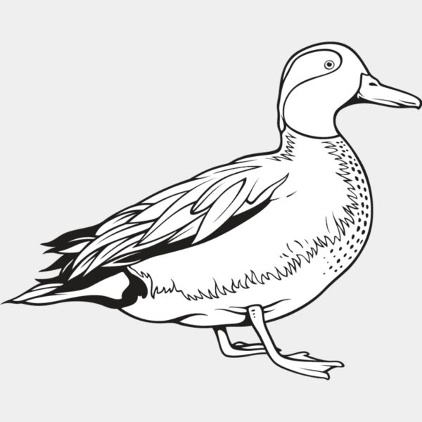Duck1 Thumbnail