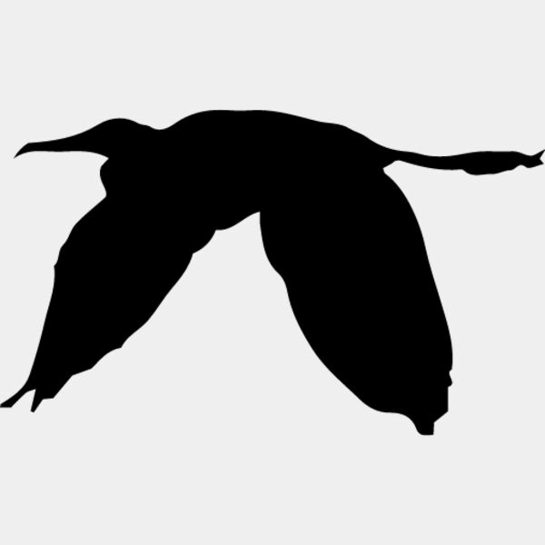 Bird Silhouette7 Thumbnail