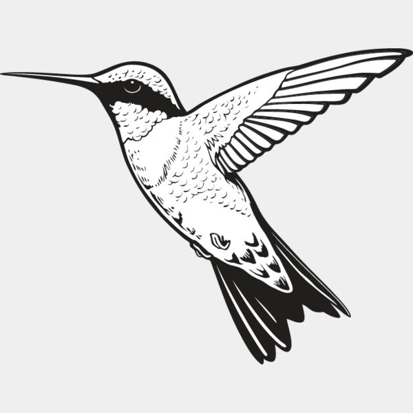 Hummingbird Thumbnail