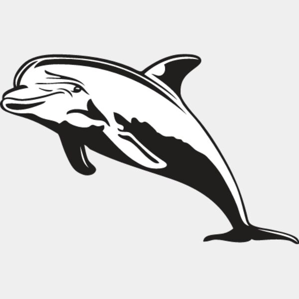 Dolphin1 Thumbnail