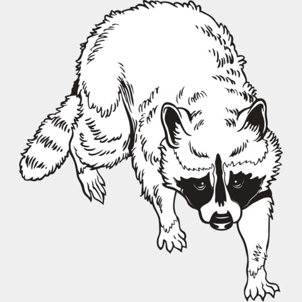Raccoon1 Thumbnail