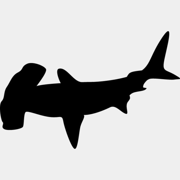 Hammerhead Shark3 Thumbnail