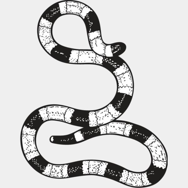 Coral Snake Thumbnail