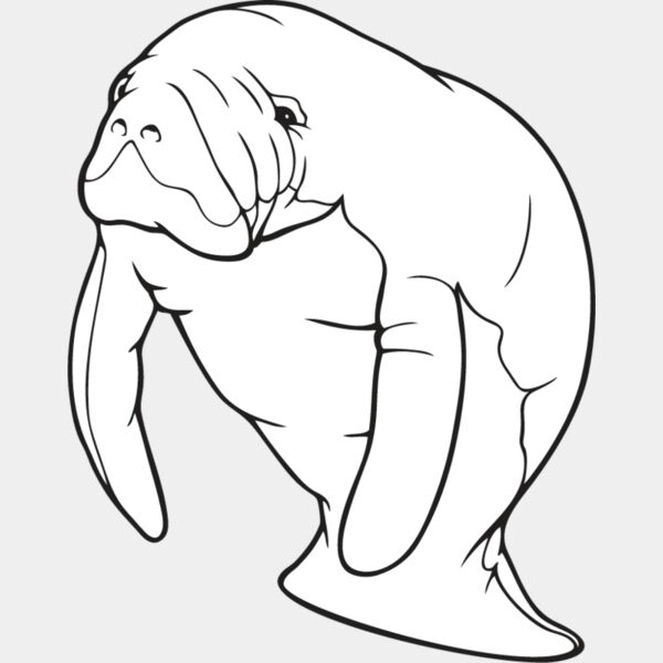 Manatee Thumbnail