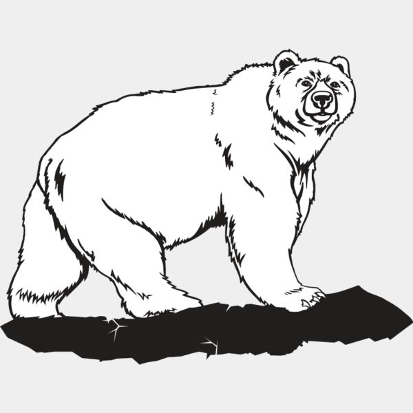 Grizzly Bear Thumbnail