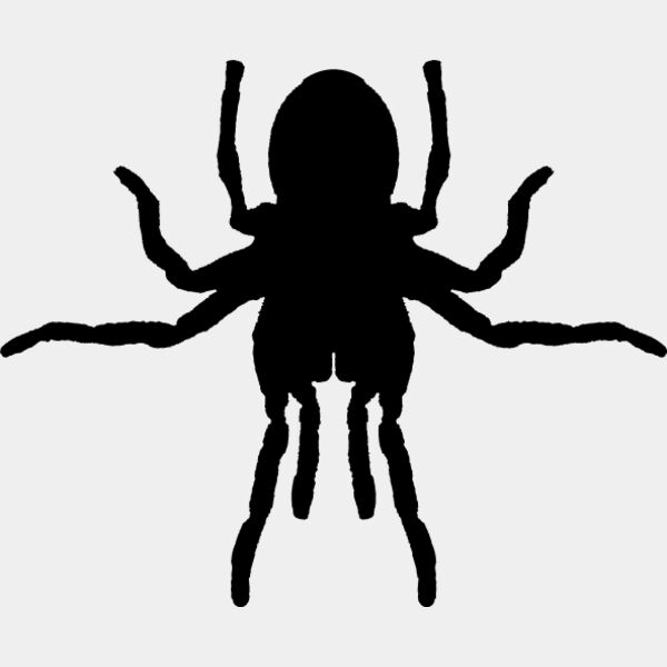 Spider Silhouette15 Thumbnail