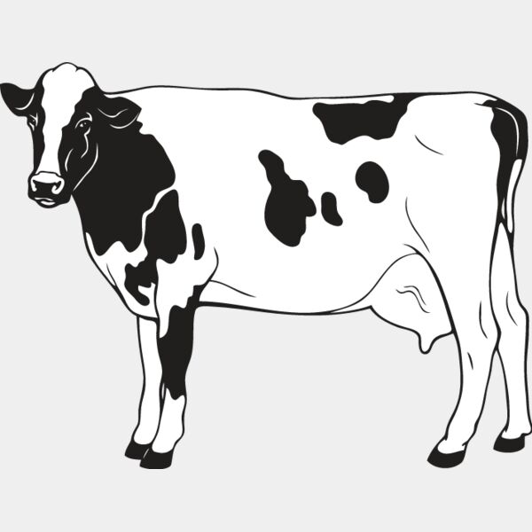 Cow6 Thumbnail