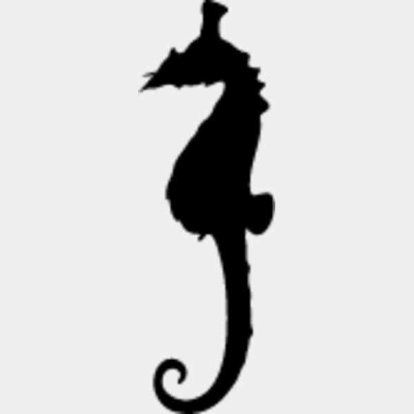 Seahorse1 Thumbnail
