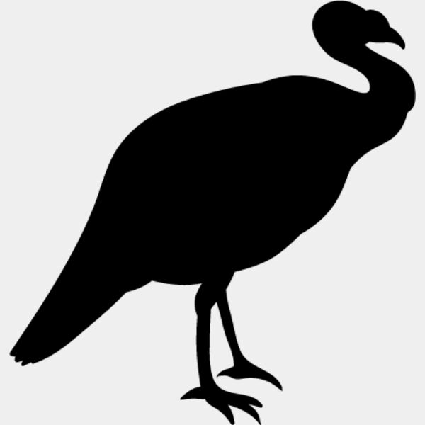 Wild Turkey1 Thumbnail