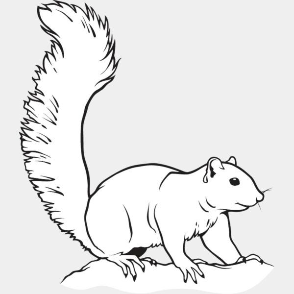 Squirrel Thumbnail