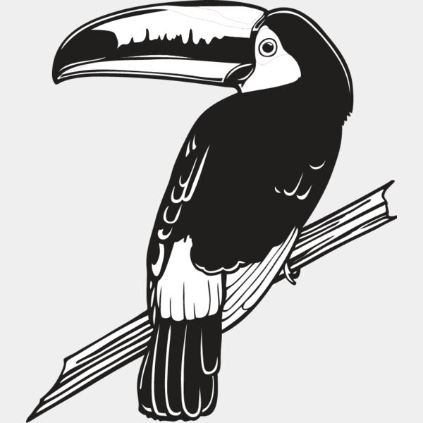 Toucan1 Thumbnail