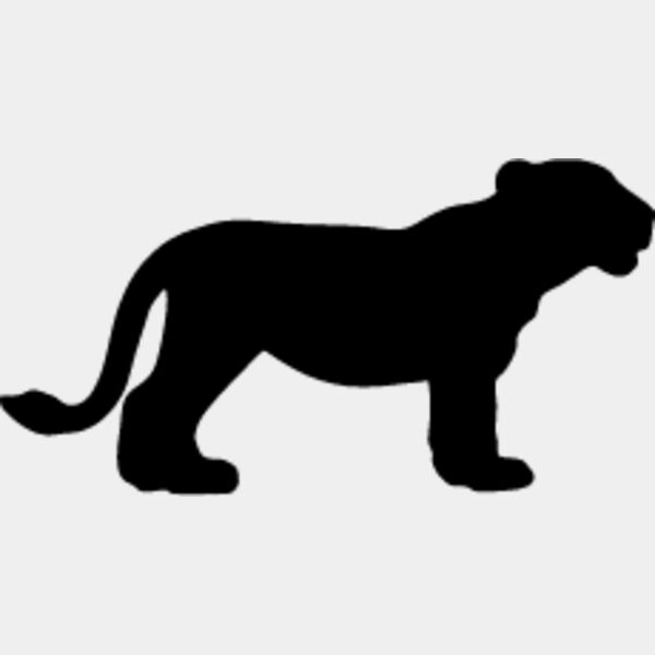 Big Cat  Tiger  Lion  Panther 18 Thumbnail