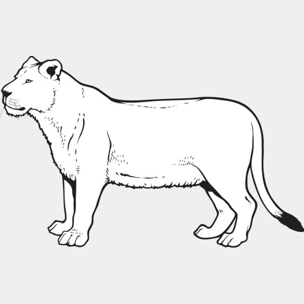 Lioness1 Thumbnail