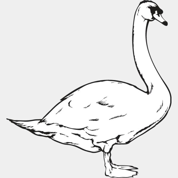 Swan1 Thumbnail