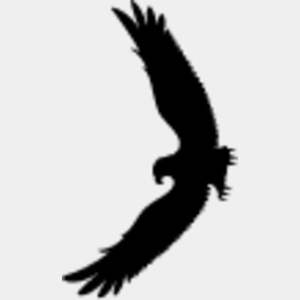 Flying Eagle Silhouette5 Thumbnail