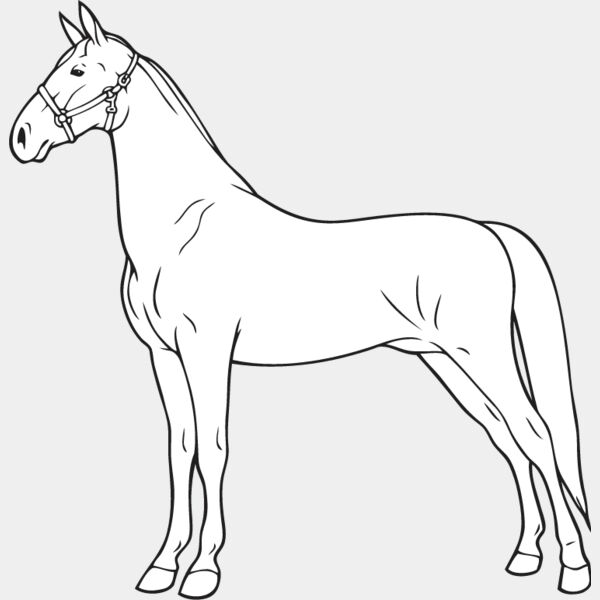 Horse3 Thumbnail