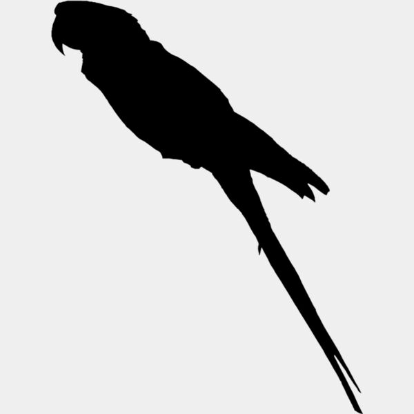 Parrot Silhouette2 Thumbnail