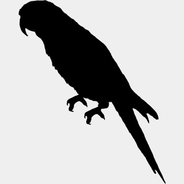 Parrot Silhouette4 Thumbnail