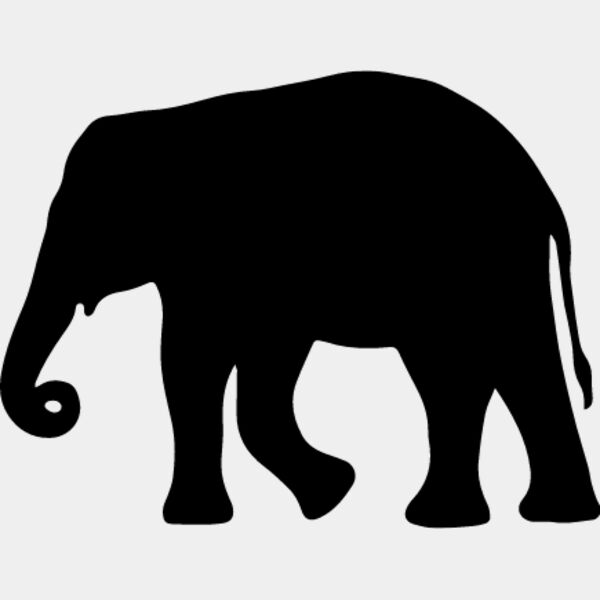 Elephant8 Thumbnail