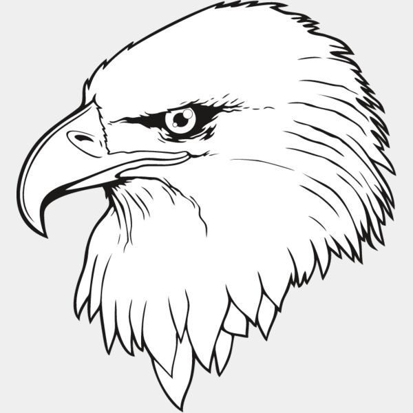 Eagle8 Thumbnail