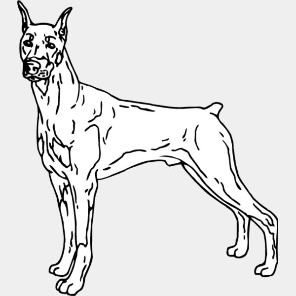 Doberman1 Thumbnail