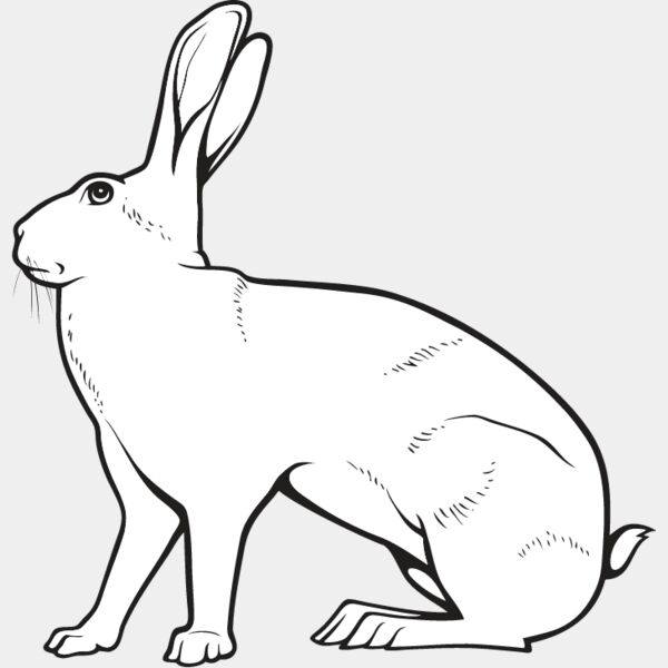 Rabbit5 Thumbnail