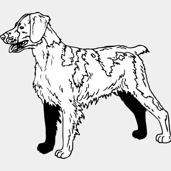 Brittany Spaniel1 Thumbnail