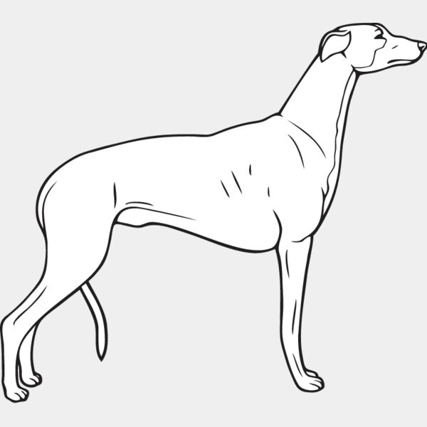 Greyhound2 Thumbnail