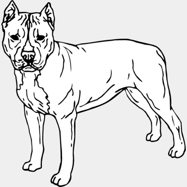 Staffordshire Bull Terrier3 Thumbnail