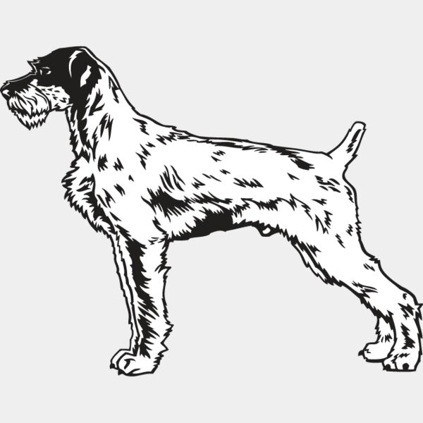 Wirehaired Pointer1 Thumbnail