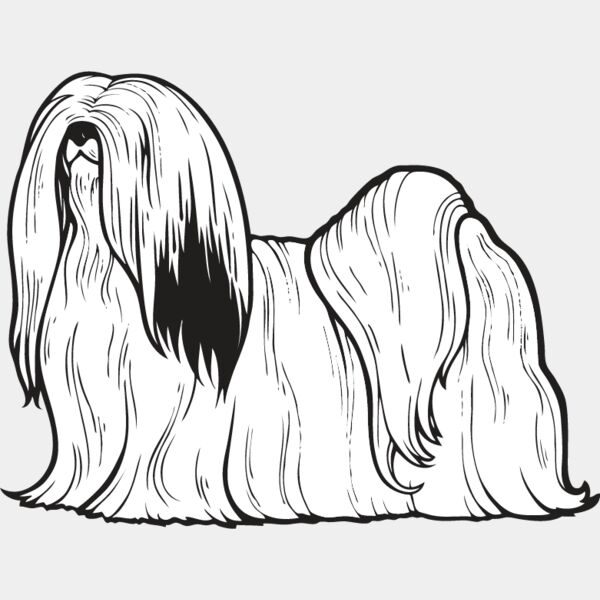 Lhasa Apso Thumbnail
