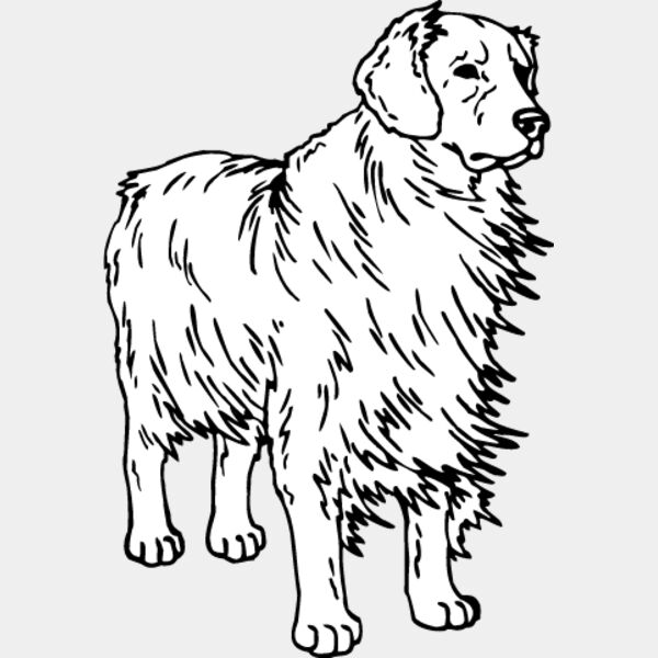 Golden Retriever1 Thumbnail